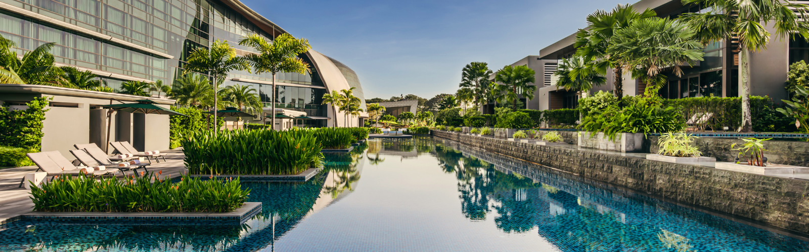 The pool and tropical surroundings at Dusit Thani Laguna Singapore