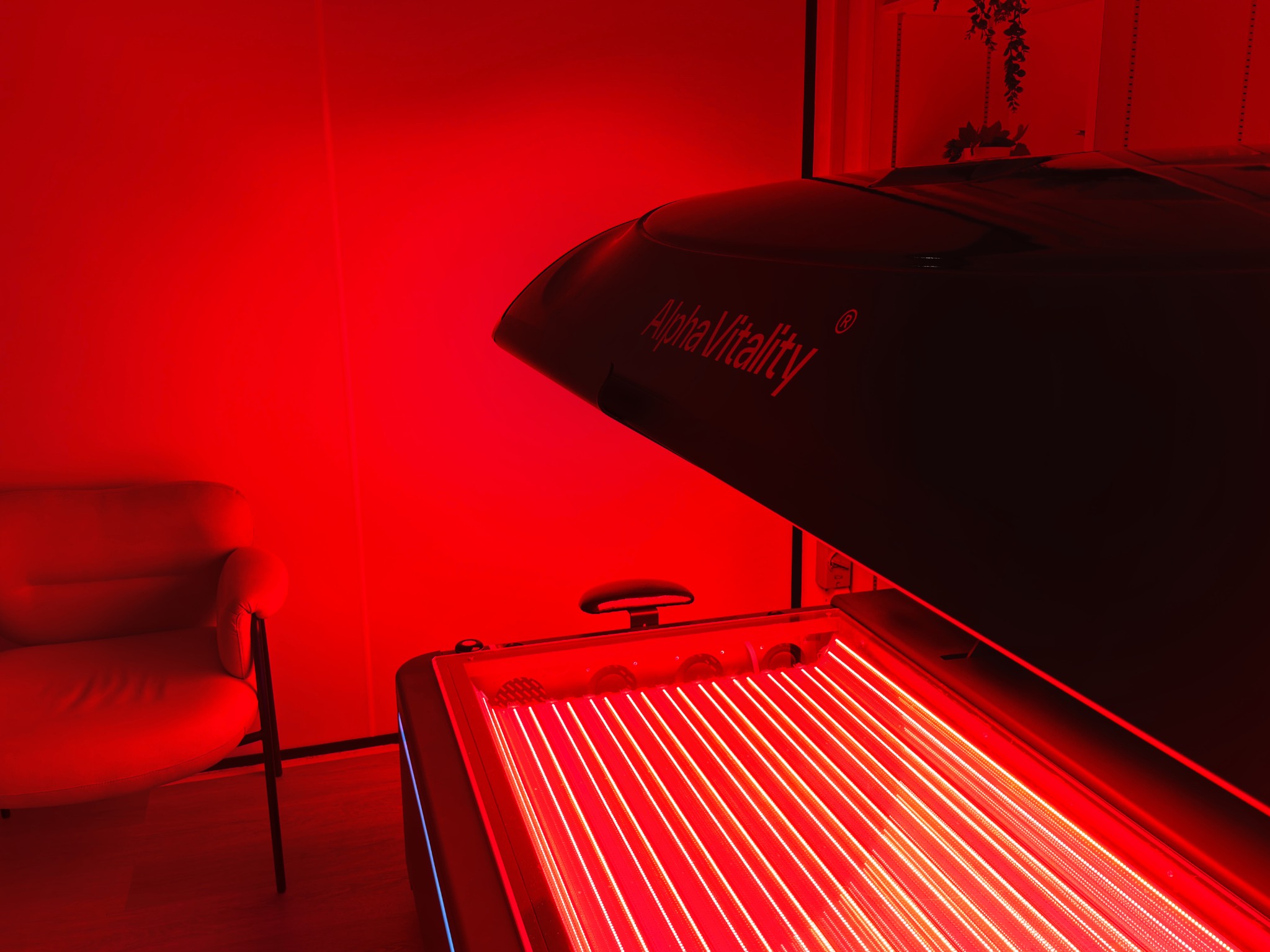 The red light therapy bed at Alpha Vitality